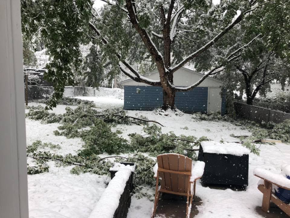 Snow, 10/14